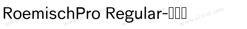 RoemischPro Regular字体转换 RoemischPro Regular字体转换